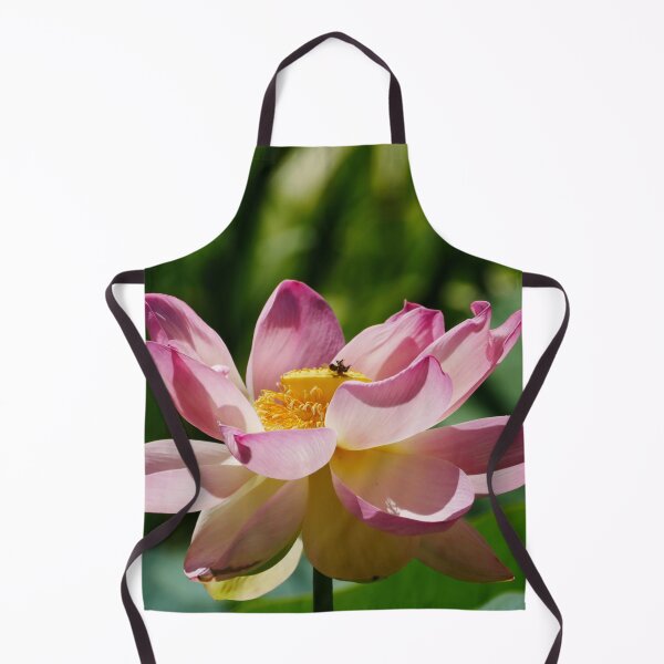 Item preview, Adelaide Botanic Gardens Flowering Pink Lotus designed and sold by Todays a Good Day.