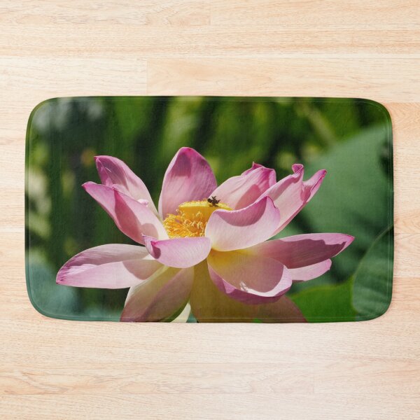 Item preview, Adelaide Botanic Gardens Flowering Pink Lotus designed and sold by Todays a Good Day.