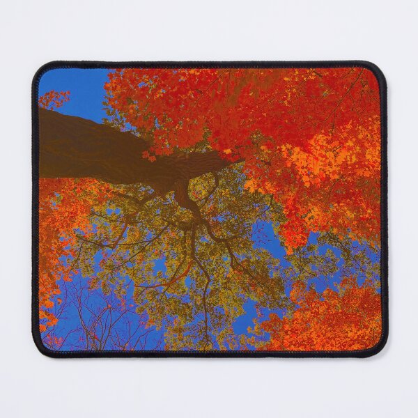 Item preview, Deciduous Canopy  designed and sold by Creoblue1.