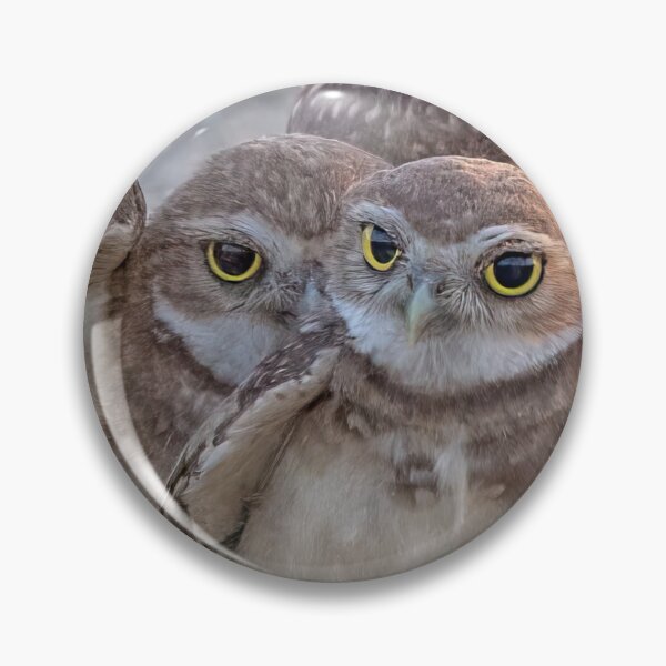 Item preview, Burrowing Owls Pair designed and sold by CarolM.
