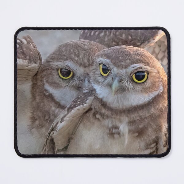 Item preview, Burrowing Owls Pair designed and sold by CarolM.