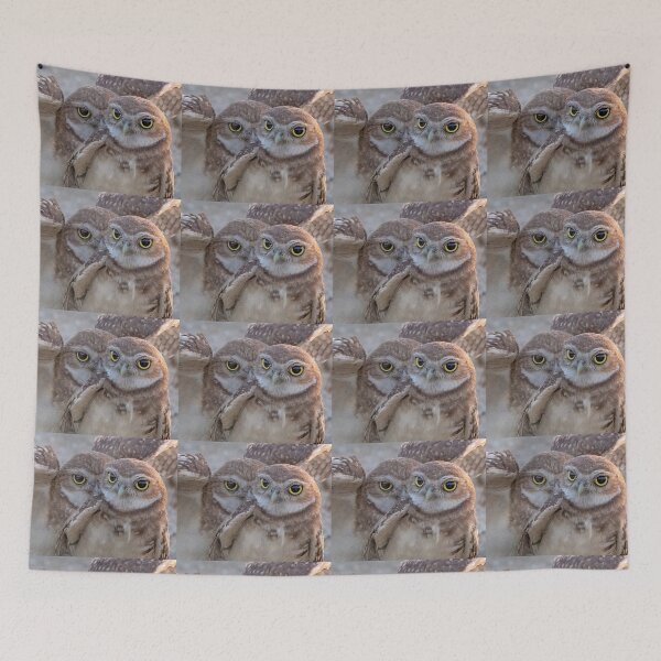 Item preview, Burrowing Owls Pair designed and sold by CarolM.