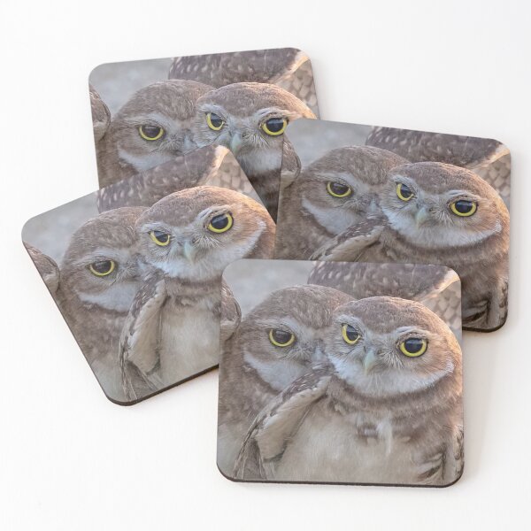 Item preview, Burrowing Owls Pair designed and sold by CarolM.