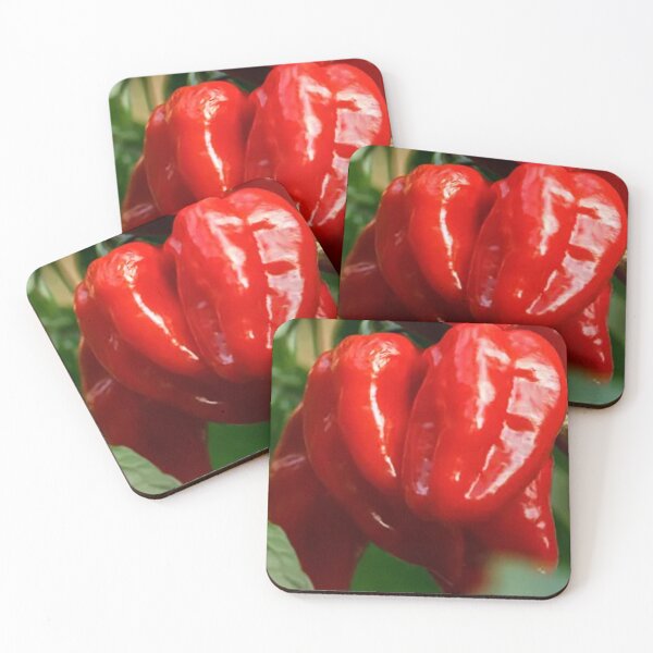 Artikelvorschau, Rote Ghost Habanero Chili Pflanze entworfen und verkauft von Shelbineshop.