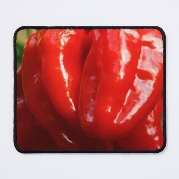 Item preview, RED GHOST HABANERO HOT PEPPERS PLANT designed and sold by Shelbineshop.