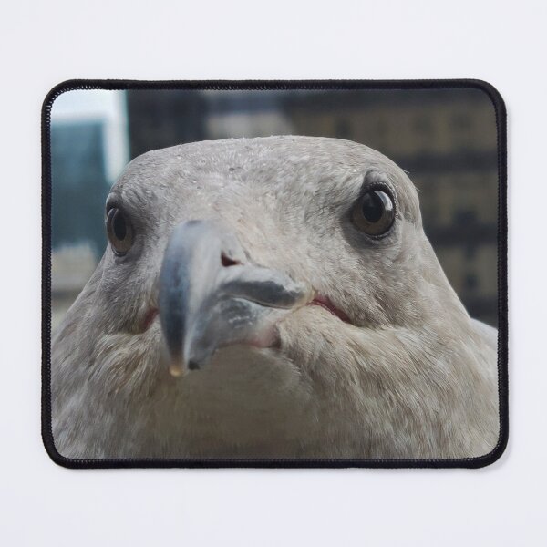 Item preview, Vancouver Gull designed and sold by CrushyAIDesigns.