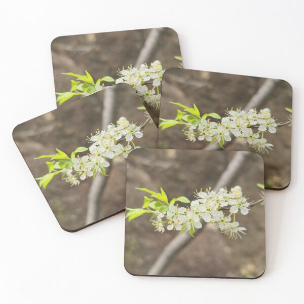 Item preview, First blooms of spring designed and sold by Shoppinmammaj.