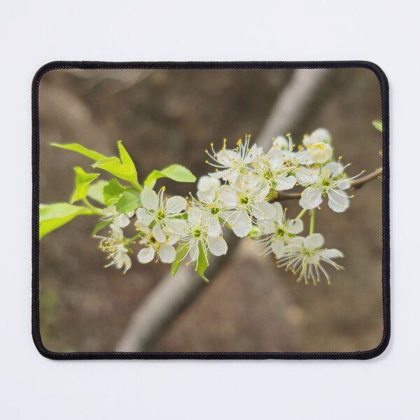 Item preview, First blooms of spring designed and sold by Shoppinmammaj.