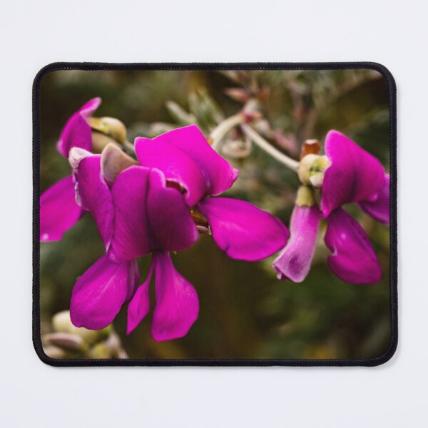 Item preview, Darling Pea Flowers designed and sold by Geoff Treagus.