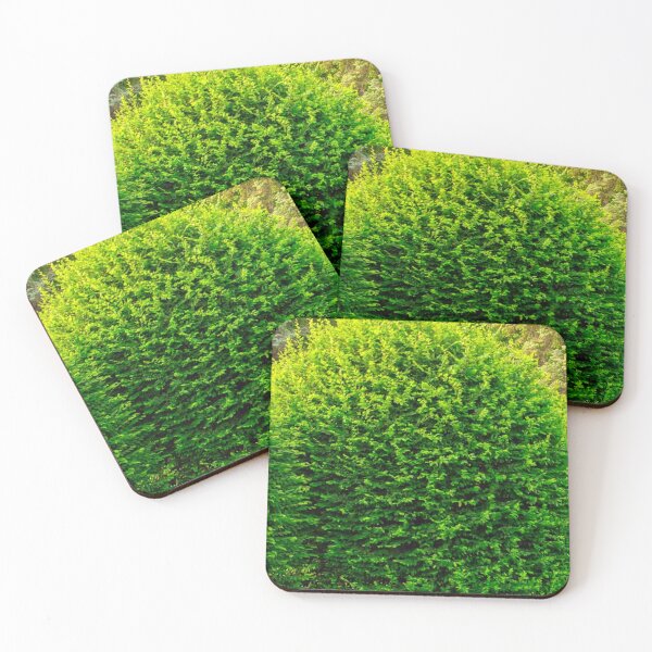 Item preview, GREEN ROUND CIRCLE BOXWOOD TREE PLANT designed and sold by Shelbineshop.