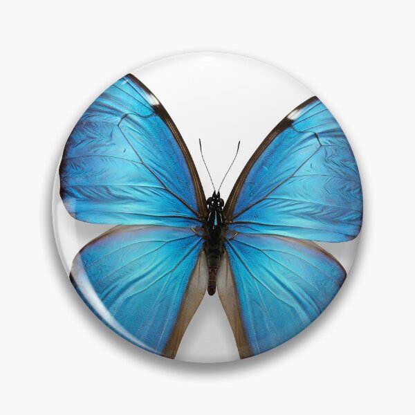 Item preview, Blue Morpho butterfly illustration with detailed wings and dark edges against a white background designed and sold by homydesign.
