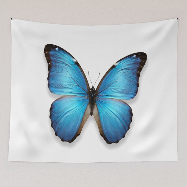 Artikelvorschau, Blauer Morpho-Schmetterling mit detaillierten Flügeln und dunklen Rändern vor weißem Hintergrund entworfen und verkauft von homydesign.