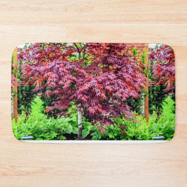 Item preview, RED LEAF JAPANESE RED MAPLE GREEN TREE FLOWERS  designed and sold by Shelbineshop.