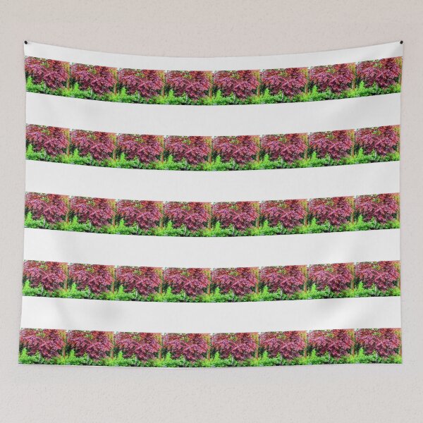 Item preview, RED LEAF JAPANESE RED MAPLE GREEN TREE FLOWERS  designed and sold by Shelbineshop.