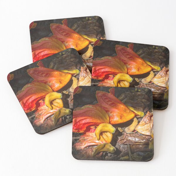 Item preview, Lent flower. designed and sold by Nino rocha fotografia.