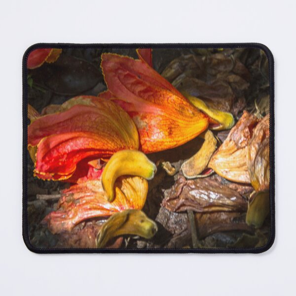 Item preview, Lent flower. designed and sold by Nino rocha fotografia.