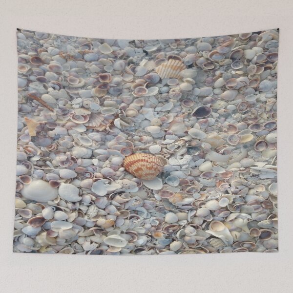 Item preview, Seashells on the Shore | Coastal Beach Photography | Ocean Nature designed and sold by Brian Gollob Creative Art.