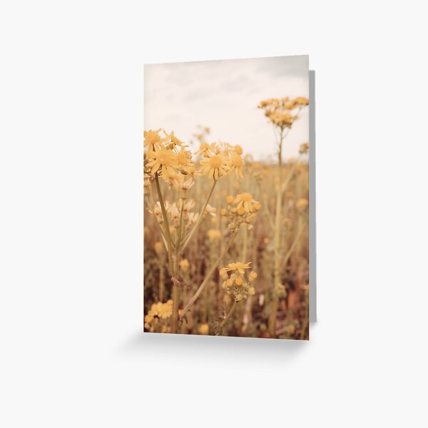 Item preview, Golden Meadow designed and sold by kristalyncollection.