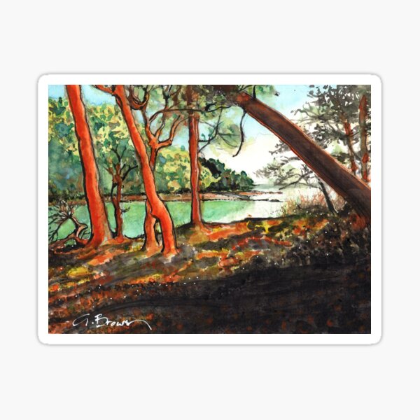 Item preview, Roe Islet, Pender Island BC Canada designed and sold by Gregg Brown.