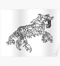 Perissodactyla - Evolution Poster