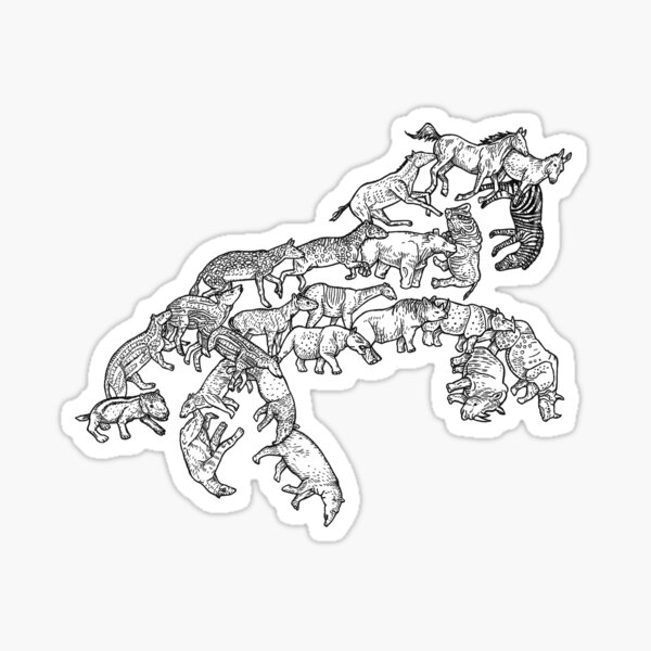 Perissodactyla - Evolution Sticker