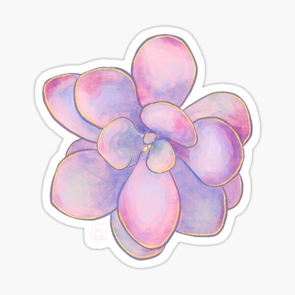 Succulent Jewels: Pink Moonstones Sticker