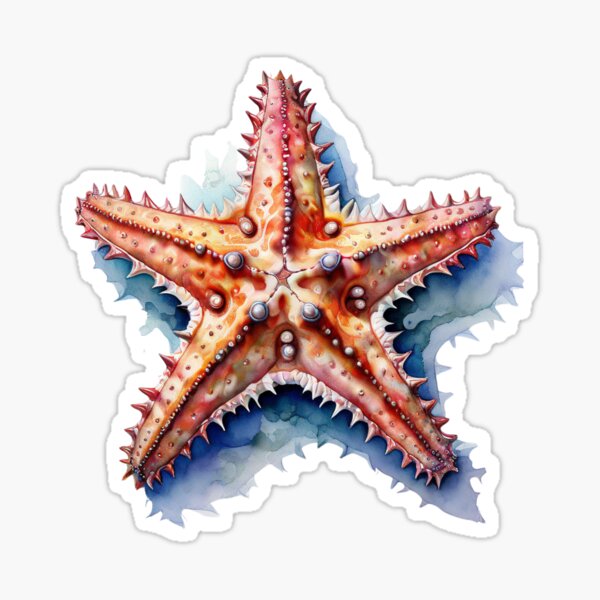 Item preview, Sea Star, Starfish designed and sold by GrifonJ.