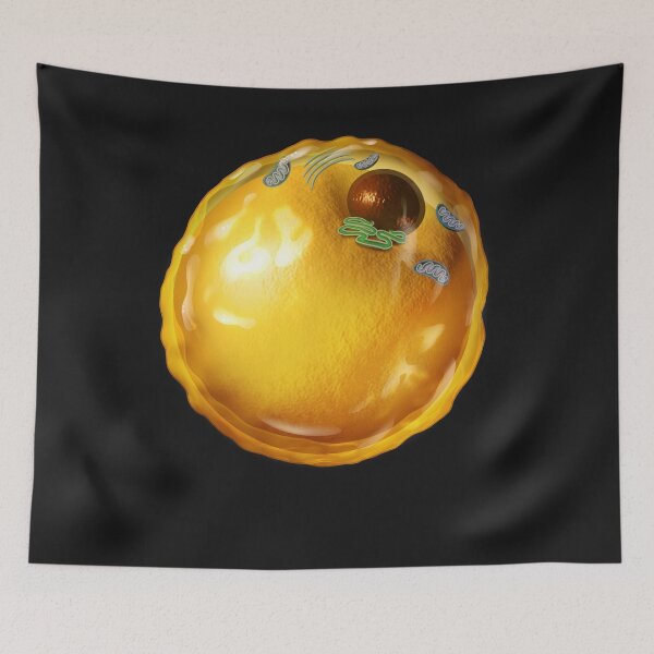 Item preview, adipocyte (fat cell), symbolizing dieting, weight control designed and sold by lightidea.