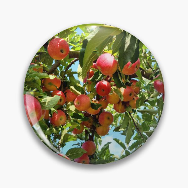 Item preview, Las manzanas designed and sold by MinaBohl.