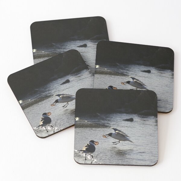 Item preview, Unedited Terns With A Snack  designed and sold by MercerImages.