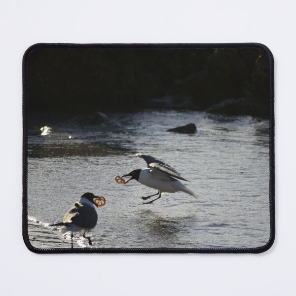 Item preview, Unedited Terns With A Snack designed and sold by MercerImages.