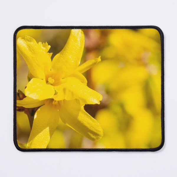 Item preview, The Forsythia miracle designed and sold by jchanders.