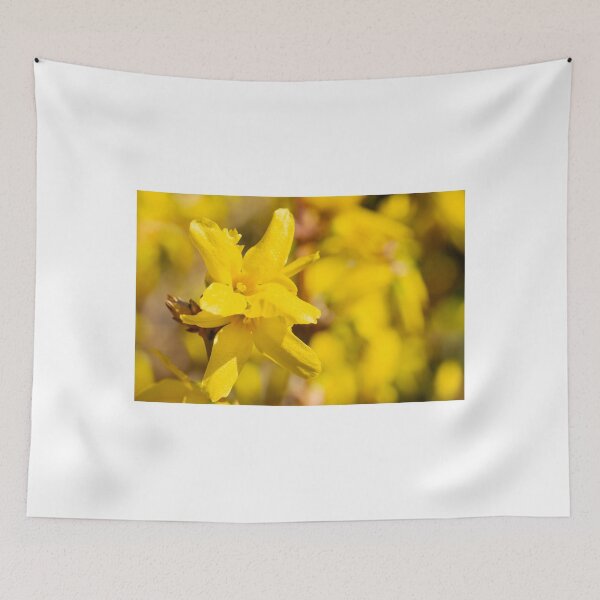 Item preview, The Forsythia miracle designed and sold by jchanders.