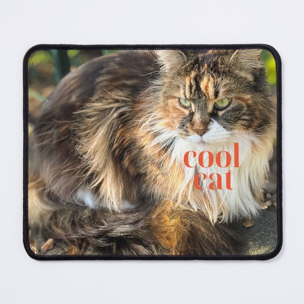 Item preview, Cool cat designed and sold by PariSeine.