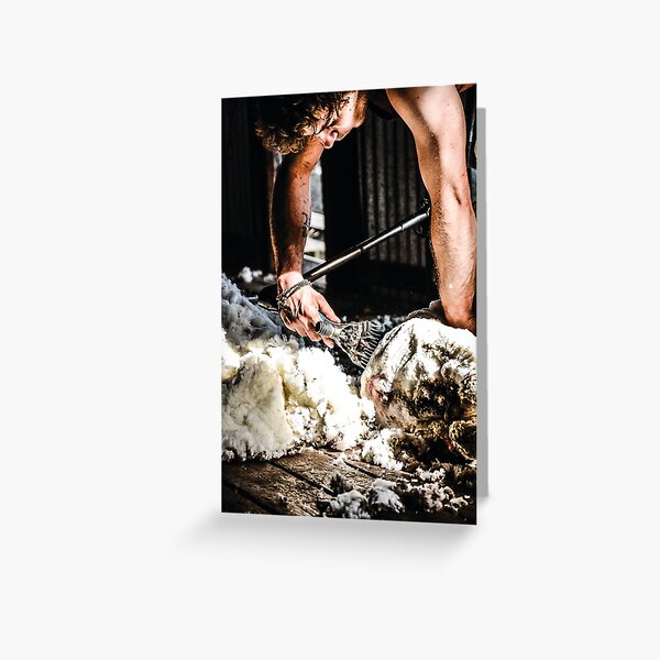 The Shearer Greeting Card