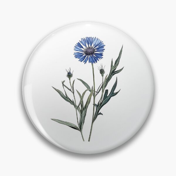 Item preview, Vintage Blue Cornflower Illustration designed and sold by Liededrom..