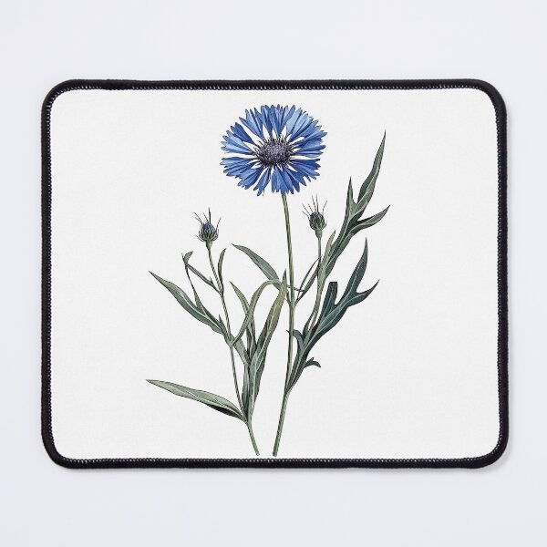 Item preview, Vintage Blue Cornflower Illustration designed and sold by Liededrom..