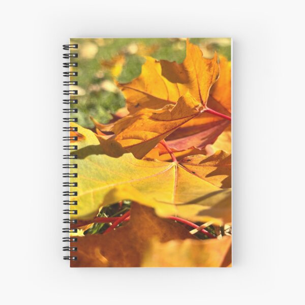 Item preview, Autumn coloured leaves in the sunshine designed and sold by PernillaHArt.