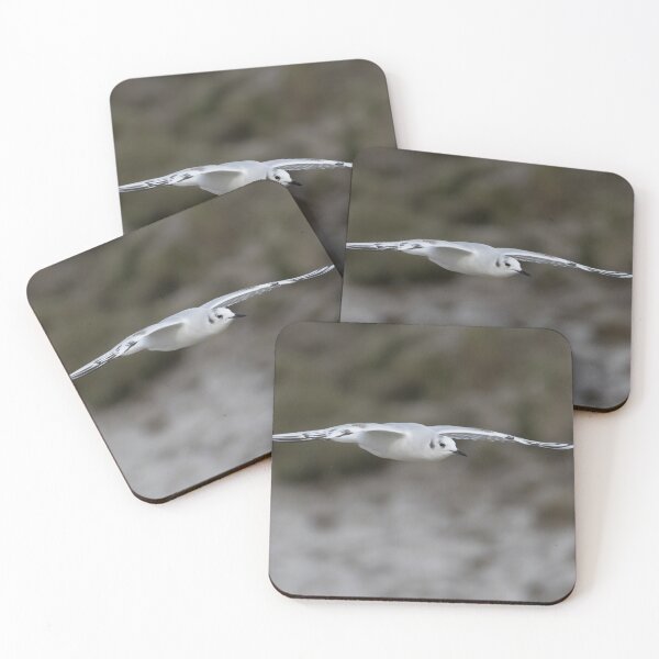 Item preview, Bonaparte's Gull designed and sold by LaurenTucker.
