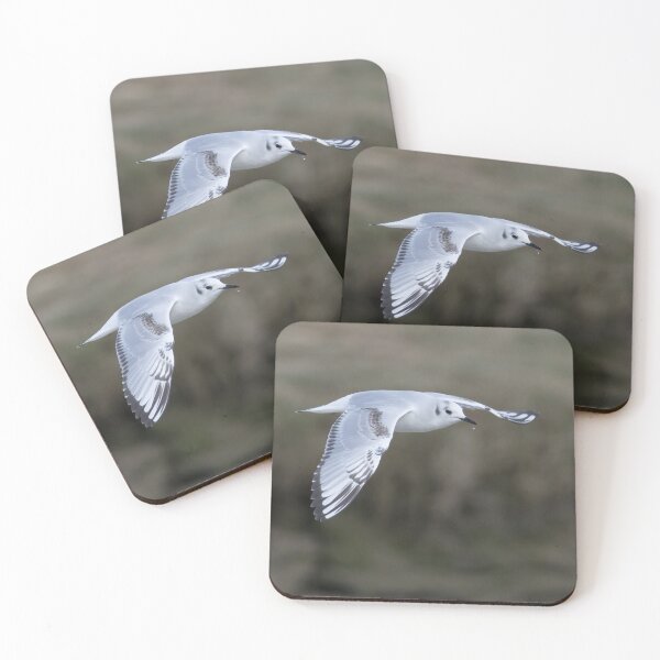Item preview, Bonaparte's Gull designed and sold by LaurenTucker.