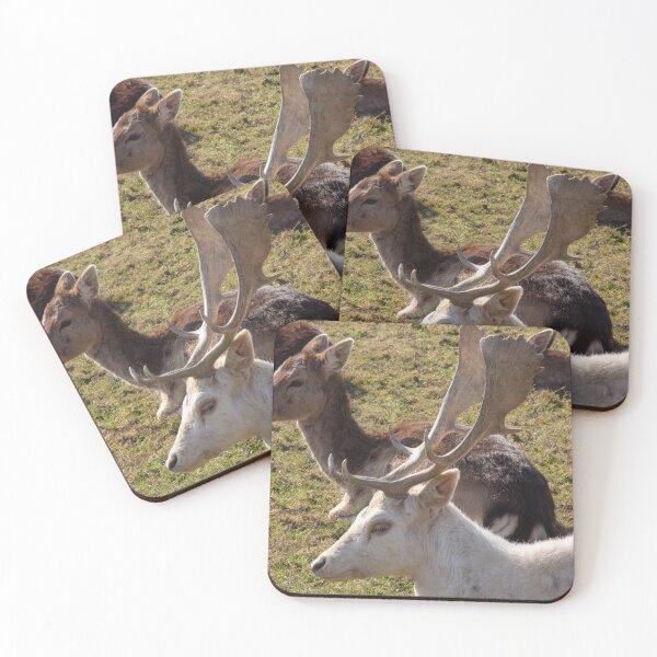 Item preview, Ciervo designed and sold by JRFotography.