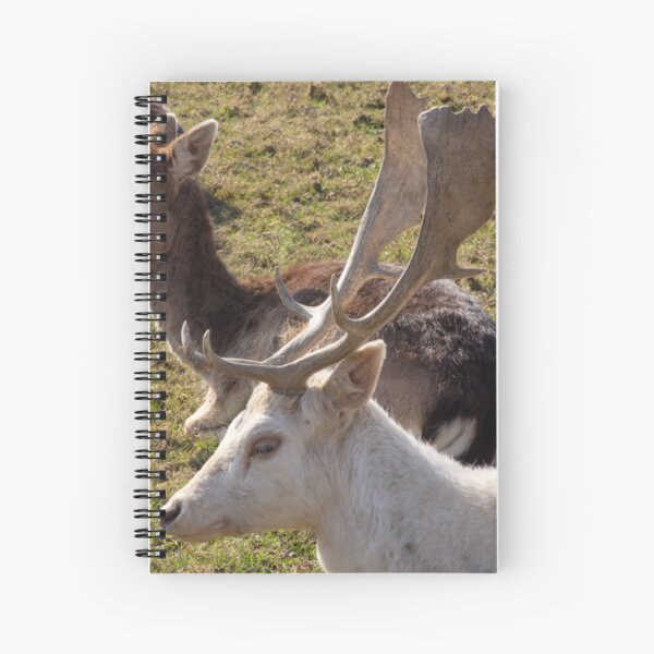 Item preview, Deer designed and sold by JRFotography.