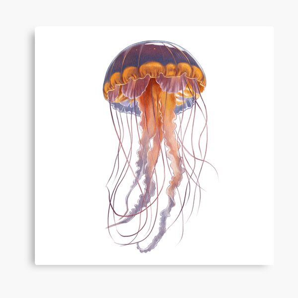 Item preview, A graceful jellyfish glides through the depths designed and sold by IraPana.