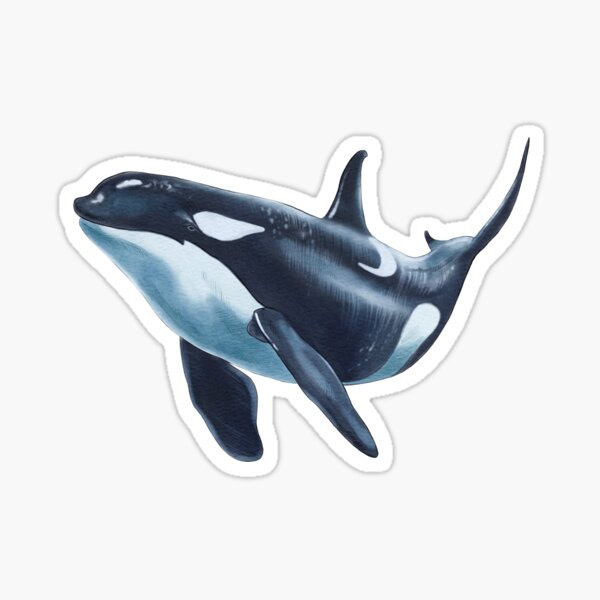 Item preview, Killer whale or whale. designed and sold by IraPana.