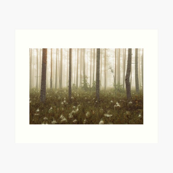 Item preview, Misty Forest designed and sold by JanneMu.