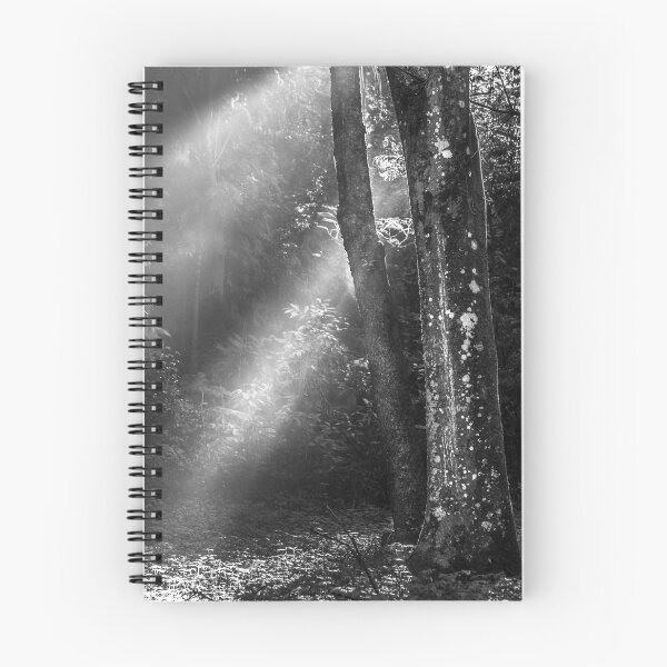 Item preview, flash of light designed and sold by Nino rocha fotografia.