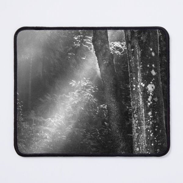 Item preview, flash of light designed and sold by Nino rocha fotografia.