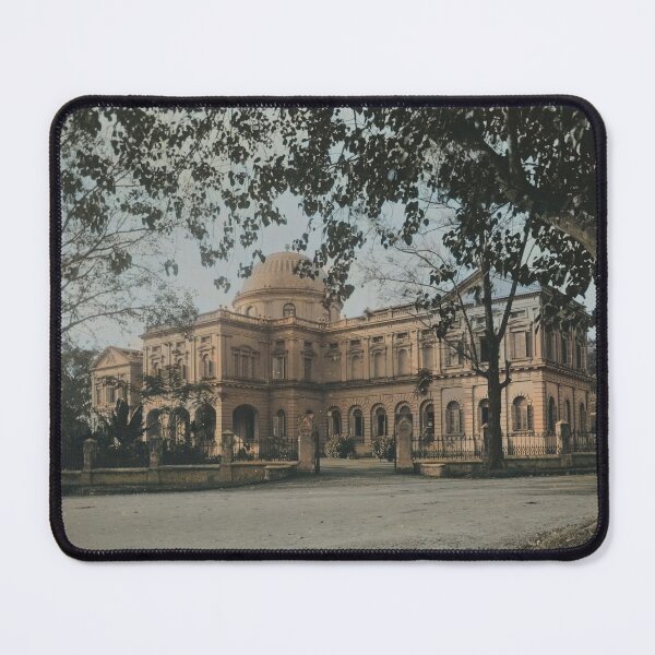 Item preview, Raffles Library and Museum, Singapore designed and sold by 19th Century in Color.