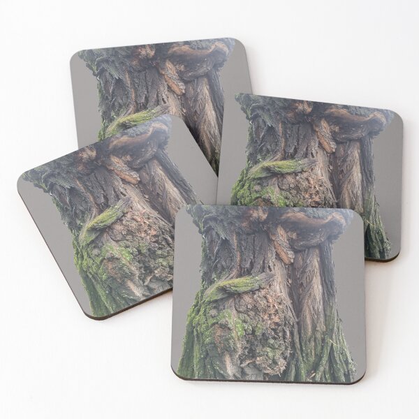 Item preview, spring, nature, tree, bark tree, moss designed and sold by colorgallery11.