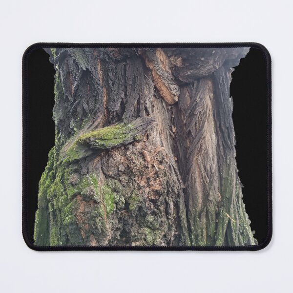 Item preview, spring, nature, tree, bark tree, moss designed and sold by colorgallery11.